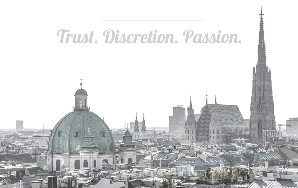 Trust. Discretion. Passion Wien Innenstadt von oben